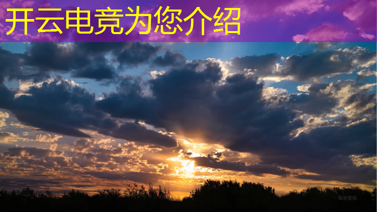 开云电竞为您介绍：世界电竞赛事拳王排名