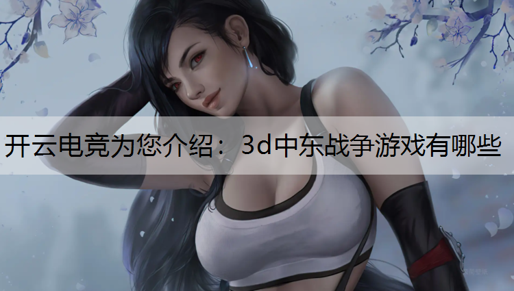 3d中东战争游戏有哪些